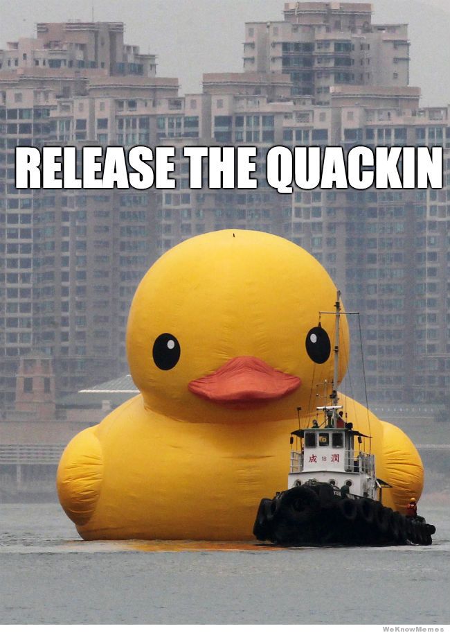 release-the-quackin-meme.jpg